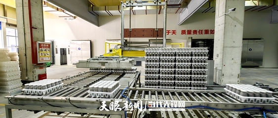 育-產-銷開啟食用菌全鏈建設 貴陽花溪區(qū)工廠化智能生產進“菌”未來