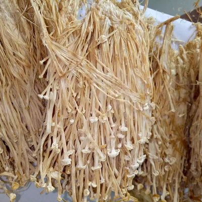 金針菇干貨 無硫健康農產品，酒店及工業(yè)多場景應用批發(fā)指南