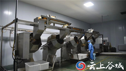 谷城石花鎮(zhèn) 以特色農產品深加工為引擎，驅動農業(yè)產業(yè)鏈優(yōu)化升級